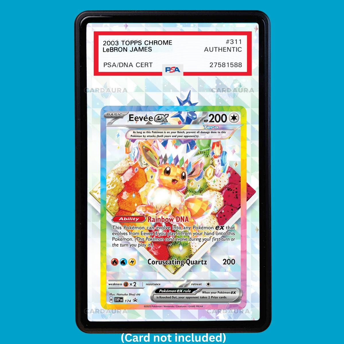 Hand-drawn Eevee EX #174 Prismatic Evolutions extended art display case insert for graded Pokémon cards