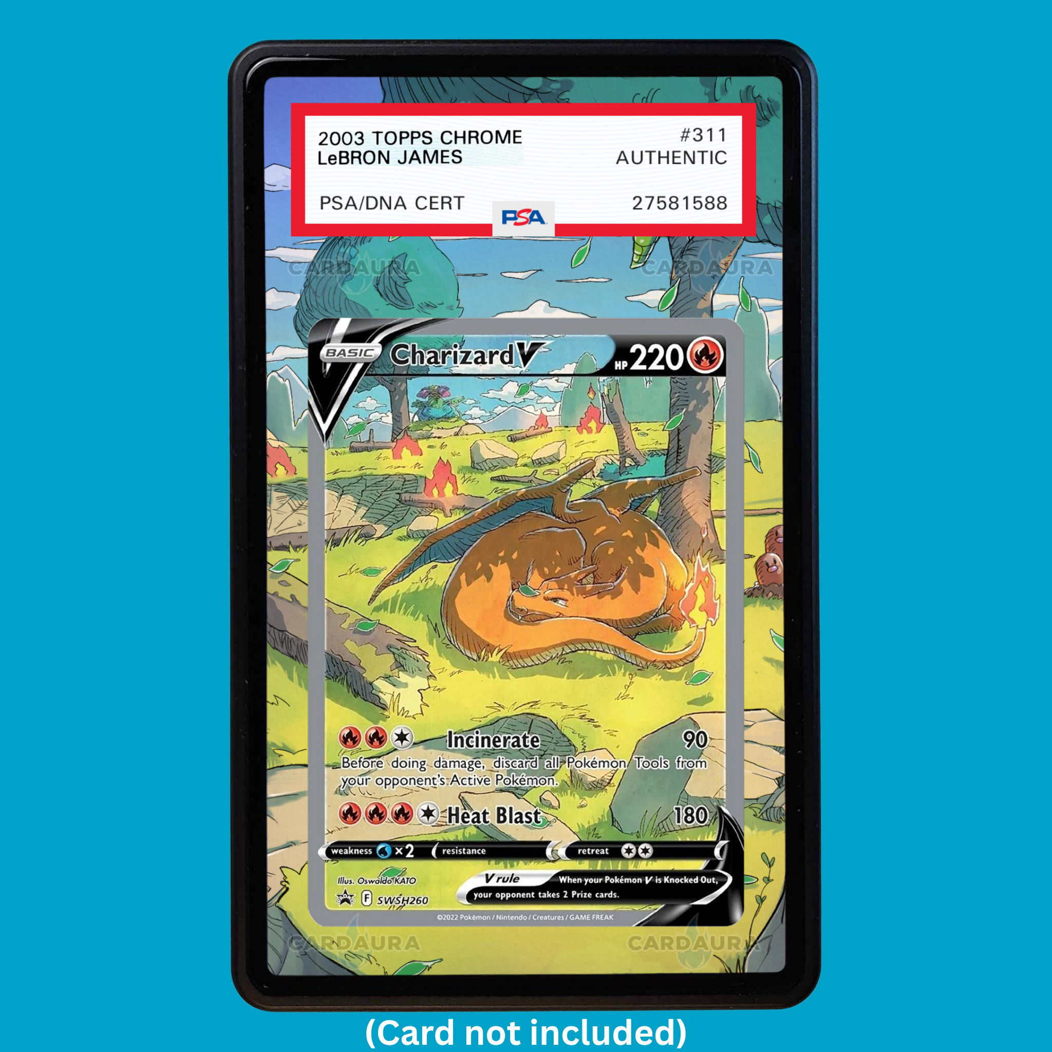 Charizard V SWSH260 Promo (Graded) Display Case – CardAura