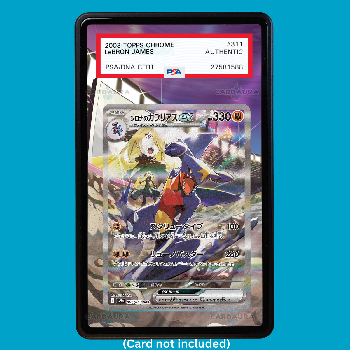 Hand-drawn Cynthia's Garchomp EX 232/165 Destined Rivals extended art display case insert for graded Pokémon cards