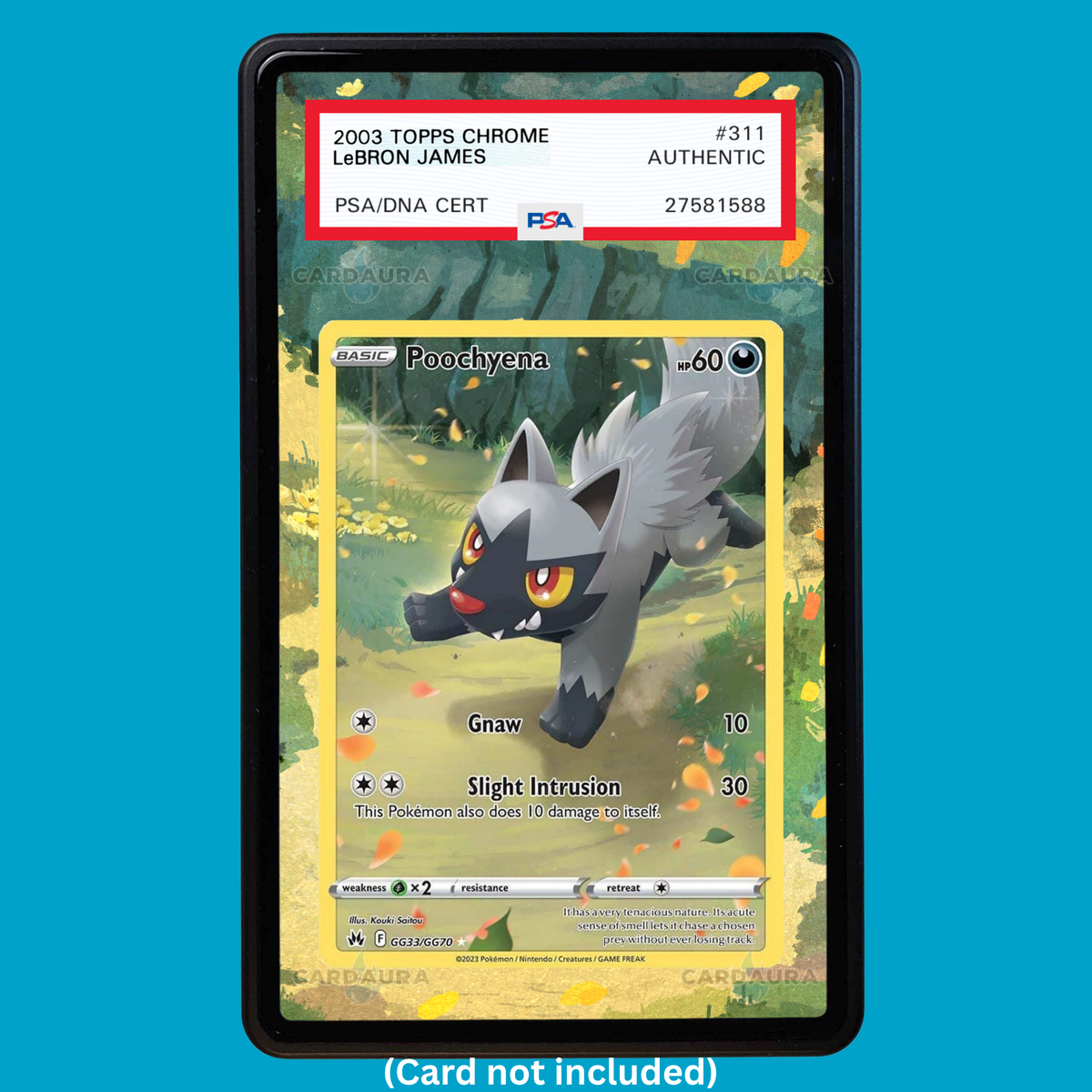 Hand-drawn Poochyena GG33/GG70 Crown Zenith extended art display case insert for graded Pokémon cards