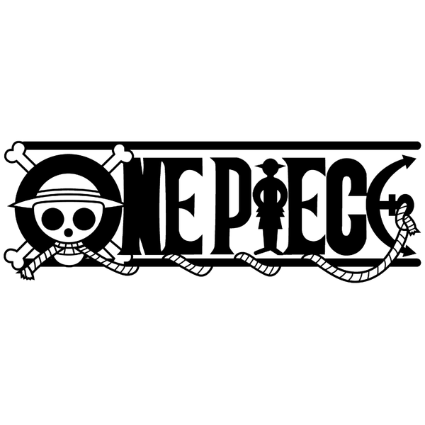 One Piece Cases