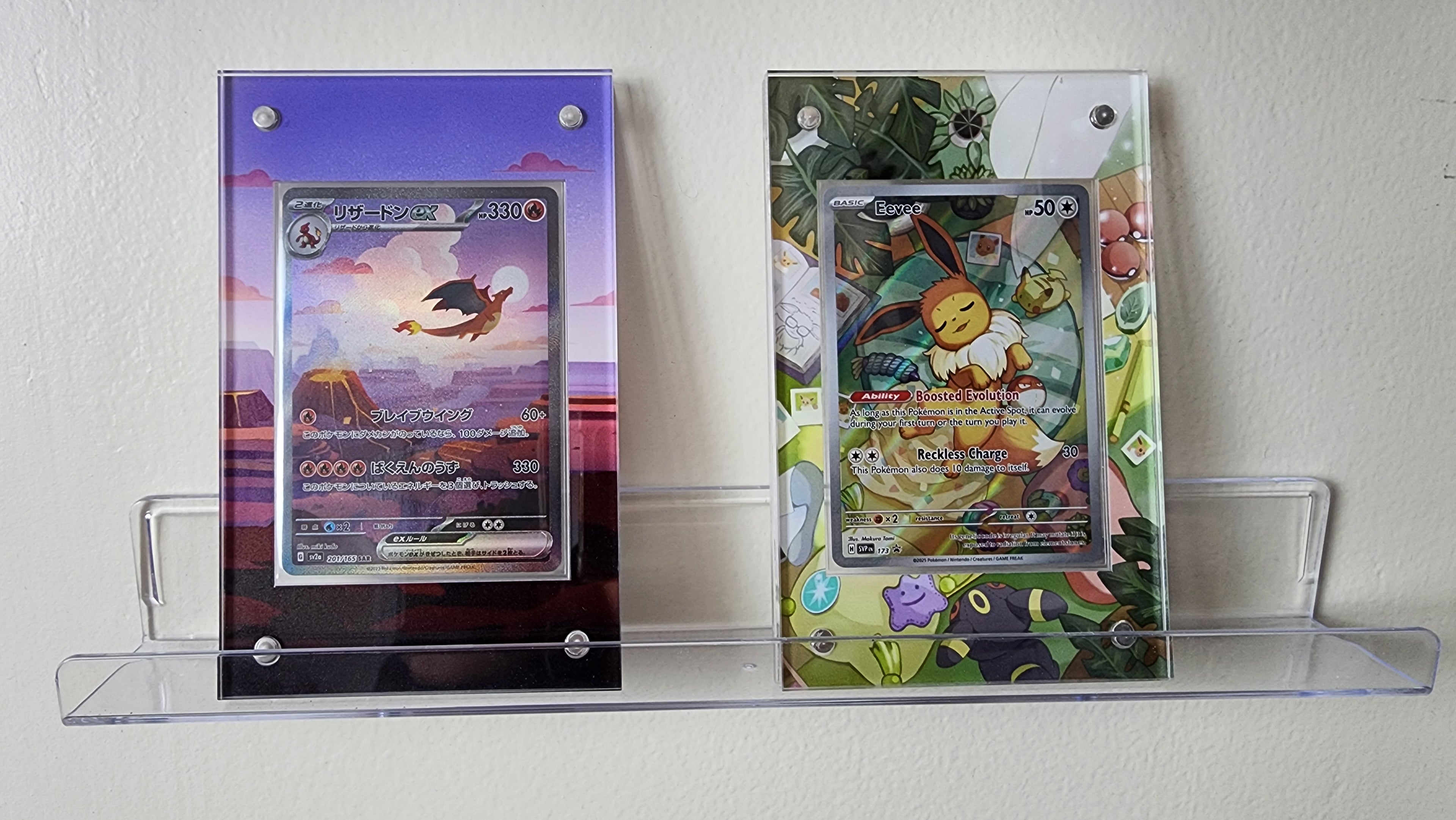 Charizard 199/165  | 151 CardAura Raw Display Case