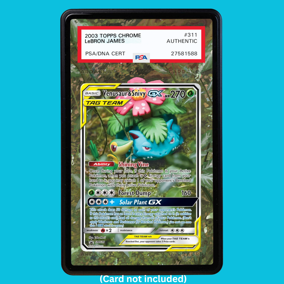 Venusaur & Snivy GX SM229 Black Star Promos (Graded) Display Case
