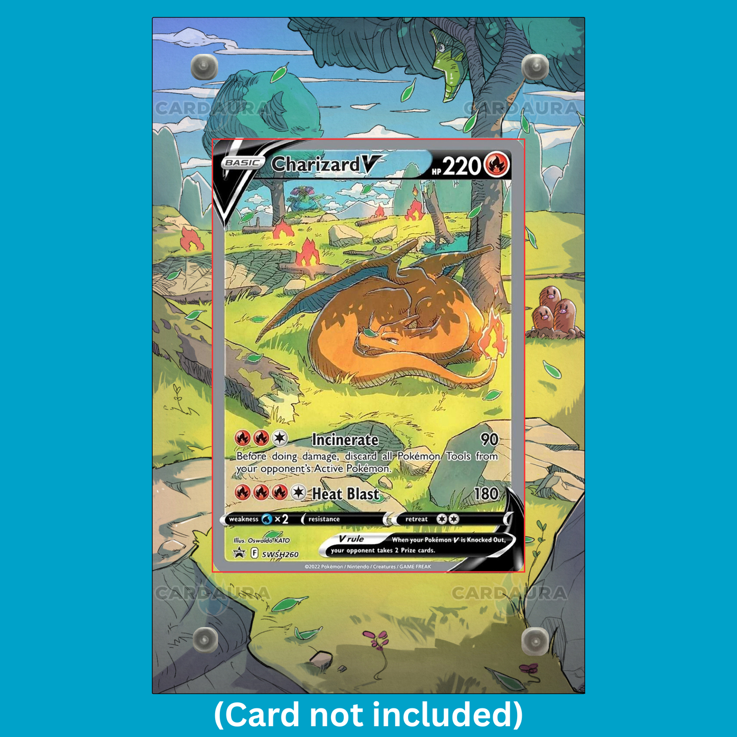 CharizardV SWSH260 Promo Ungraded Display Case