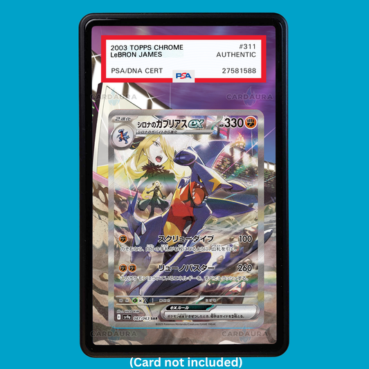 Hand-drawn Cynthia's Garchomp EX 232/165 Destined Rivals extended art display case insert for graded Pokémon cards