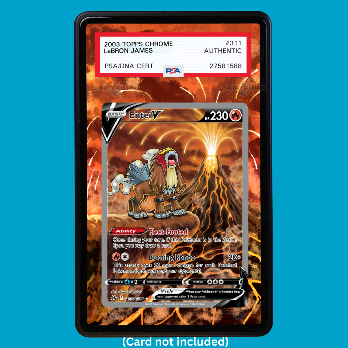 Hand-drawn Entei GG36/GG70 Crown Zenith extended art display case insert for graded Pokémon cards
