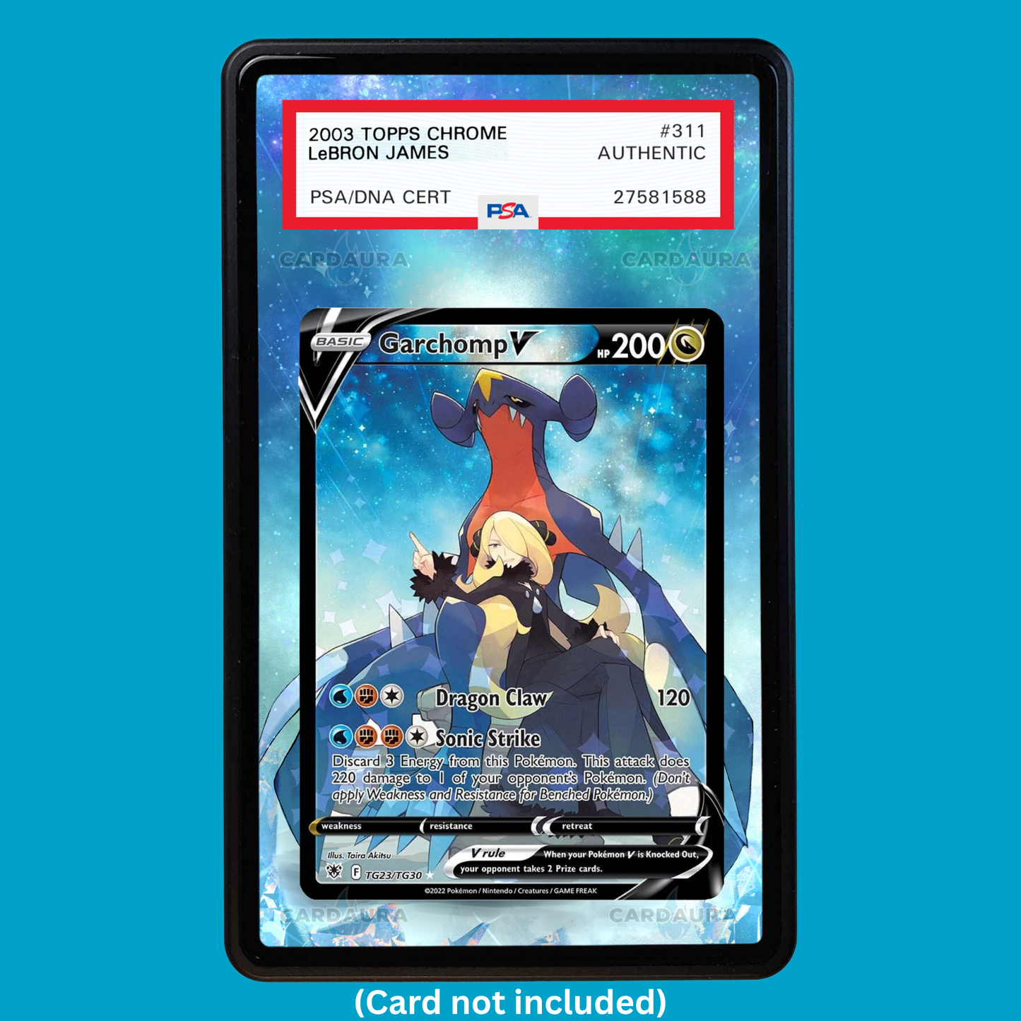 GarchompV TG23/TG30 Graded Display Case