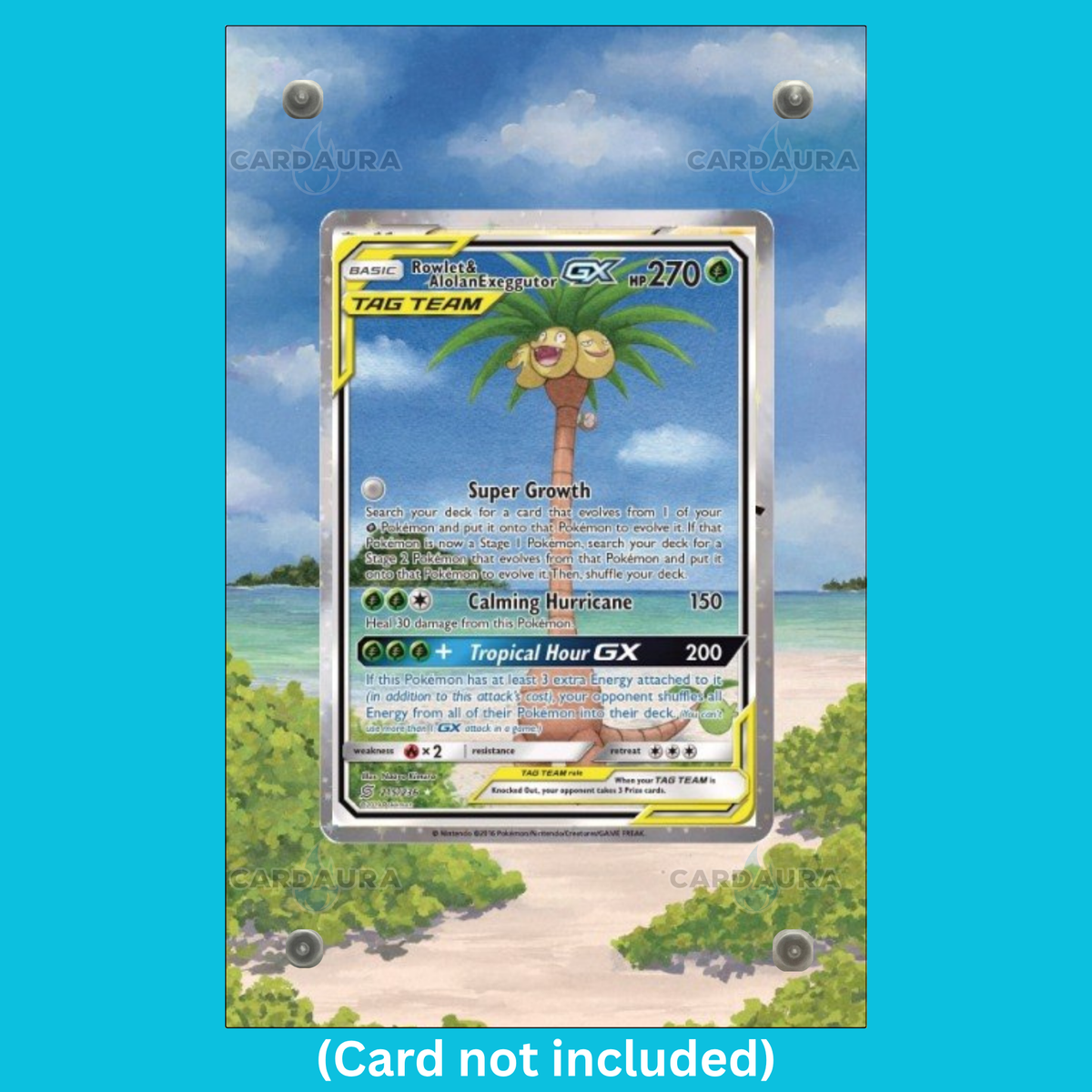 Rowlet & Alolan Exeggutor GX 215/236 Unified Minds (Ungraded) Display Case (Pre-Order)