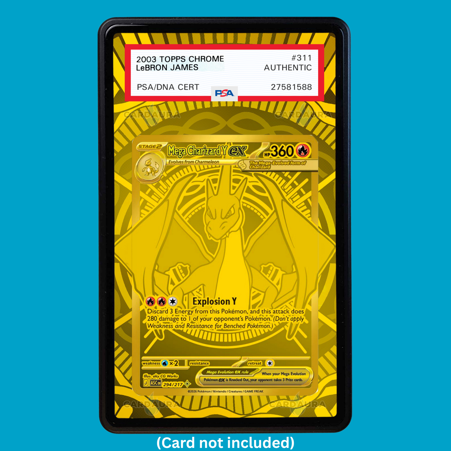 Mega Charizard Y ex 294/217 Graded Display Case
