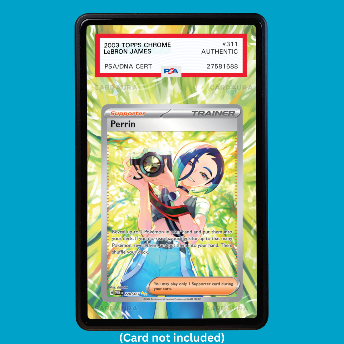 Perrin 220/167 (Graded) Display Case