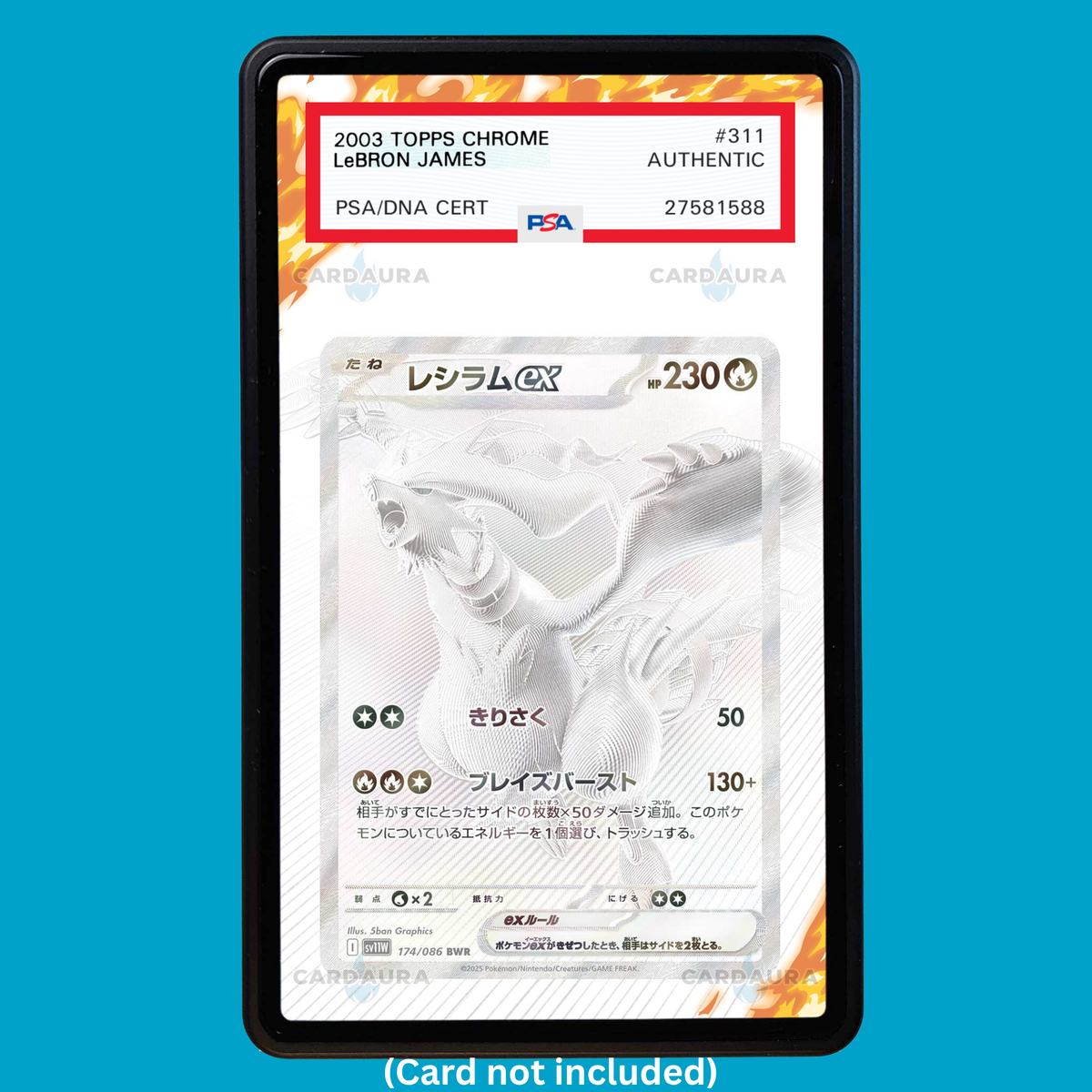 Hand-drawn Reshiram EX 173/086 White Flare extended art display case insert for graded Pokémon cards