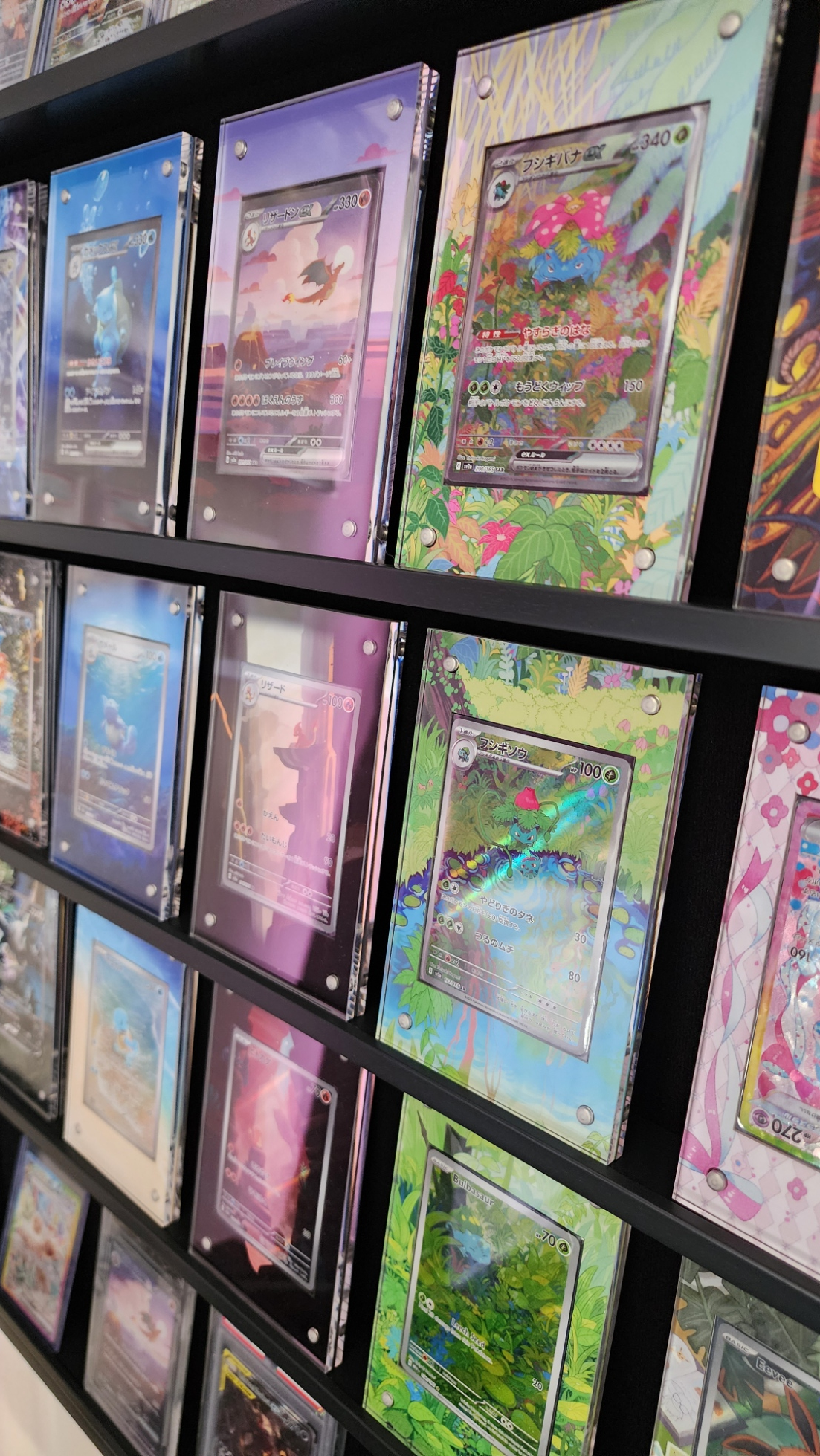 Venusaur 198/165 | Set 151 CardAura Raw Display Case