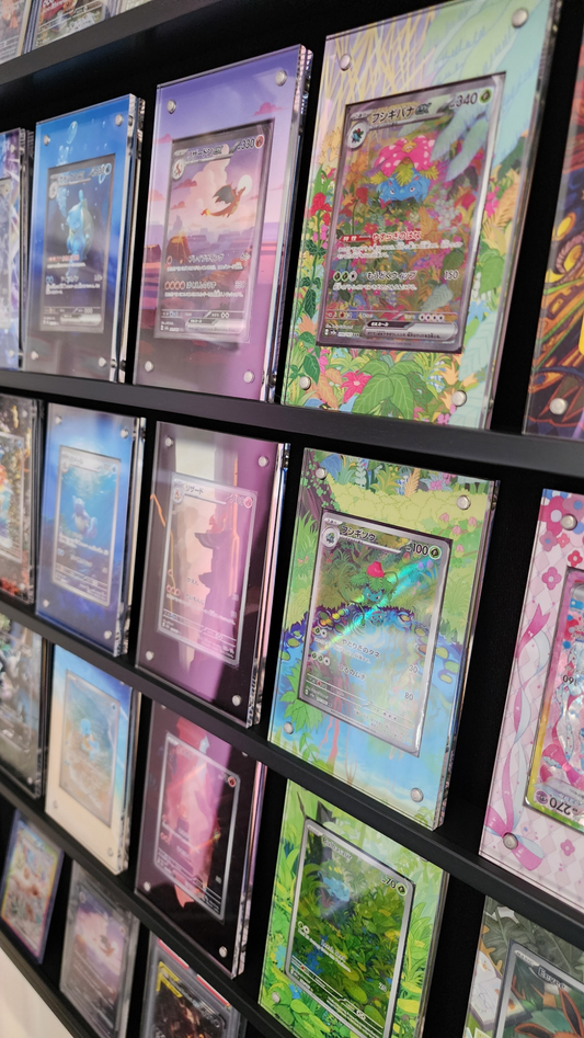 N's Reshiram 109/100 Hand Drawn Journey Together | CardAura Case