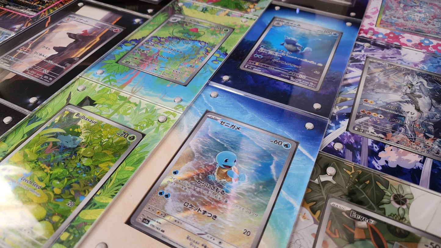 N's Reshiram 109/100 Hand Drawn Journey Together | CardAura Case