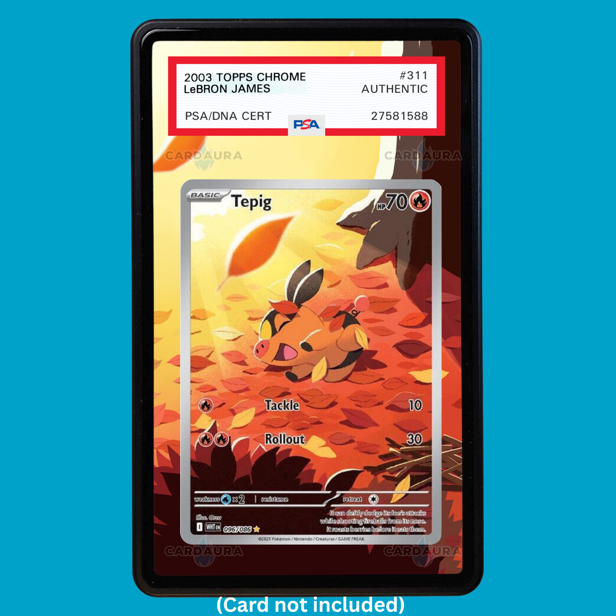 Hand-drawn Tepig 096/086 White Flare extended art display case insert for graded Pokémon cards