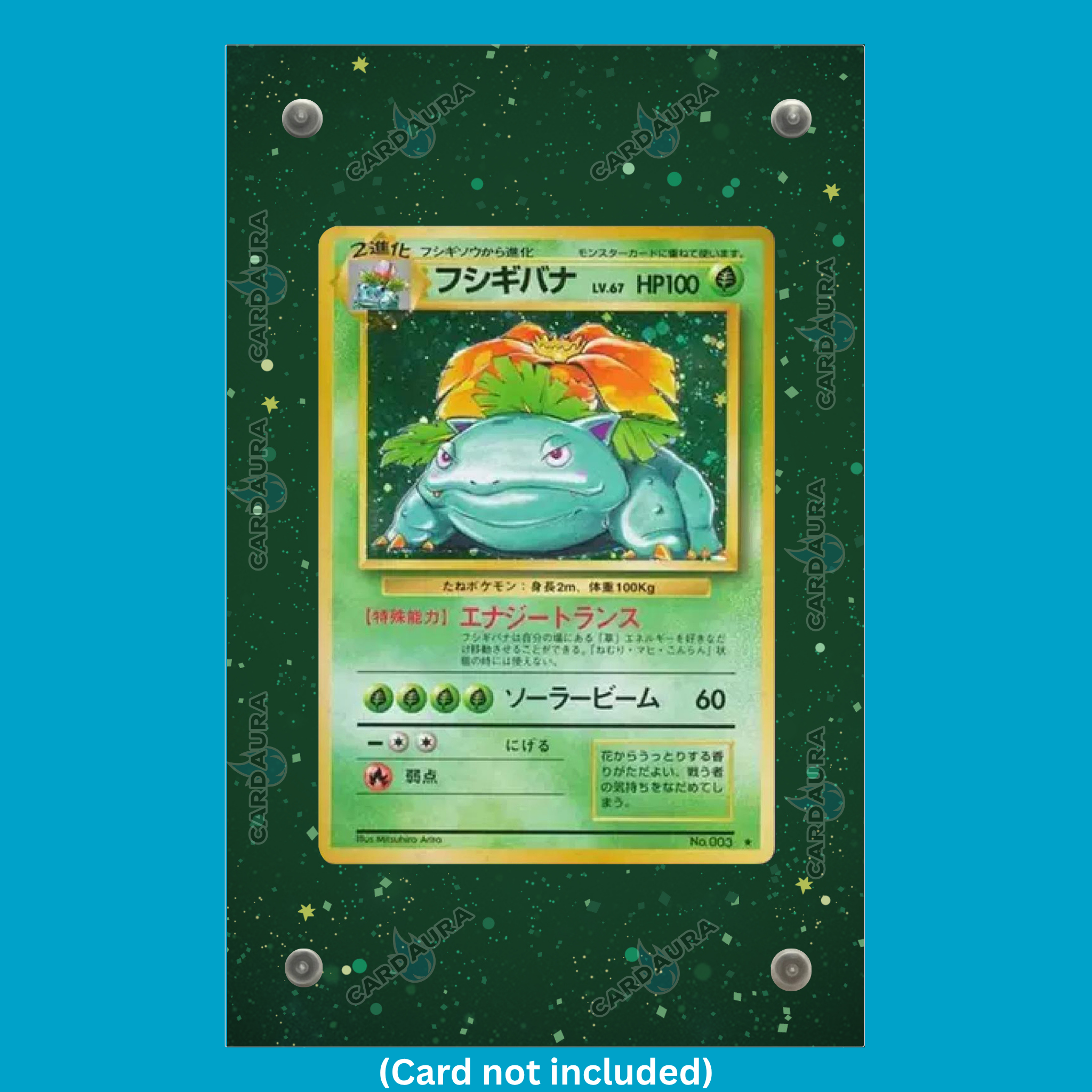 Venusaur Base Set Display Case (Extended Art Frame) | Magnetic Acrylic Holder for Ungraded Cards